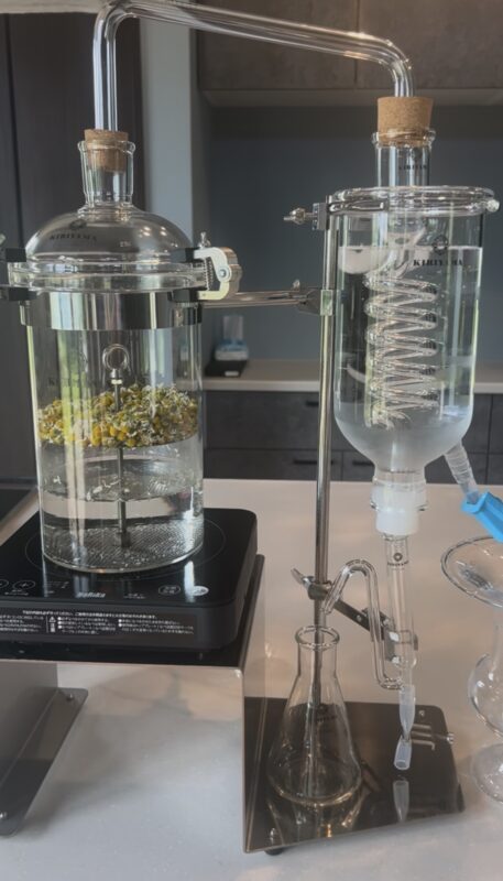 2026年5月31日（日）