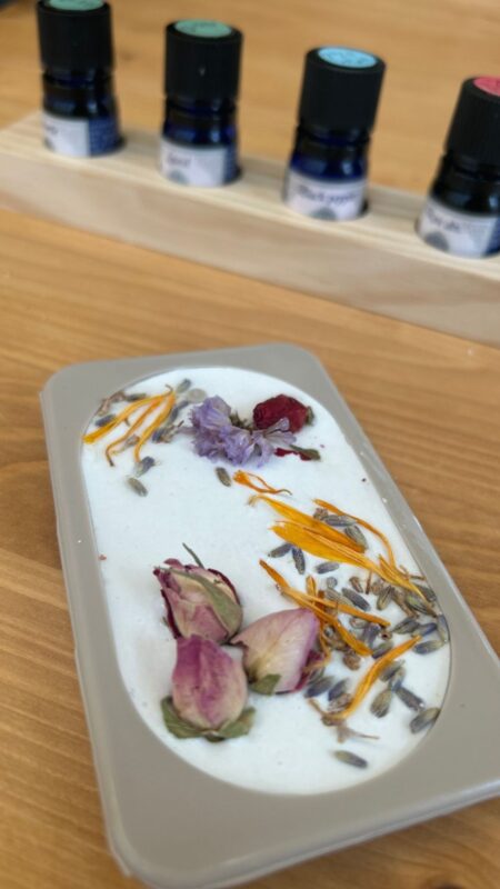 2025年2月14日(土)・27日(金)